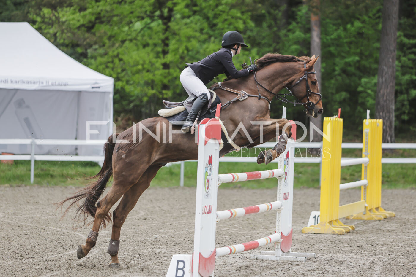 Parnu_CHI_3V_2026_CCI2-S_TS_094