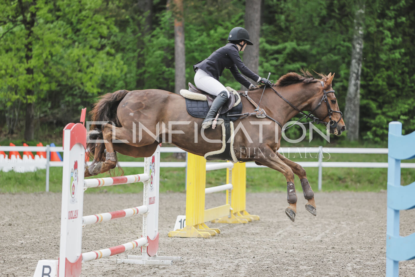 Parnu_CHI_3V_2026_CCI2-S_TS_098