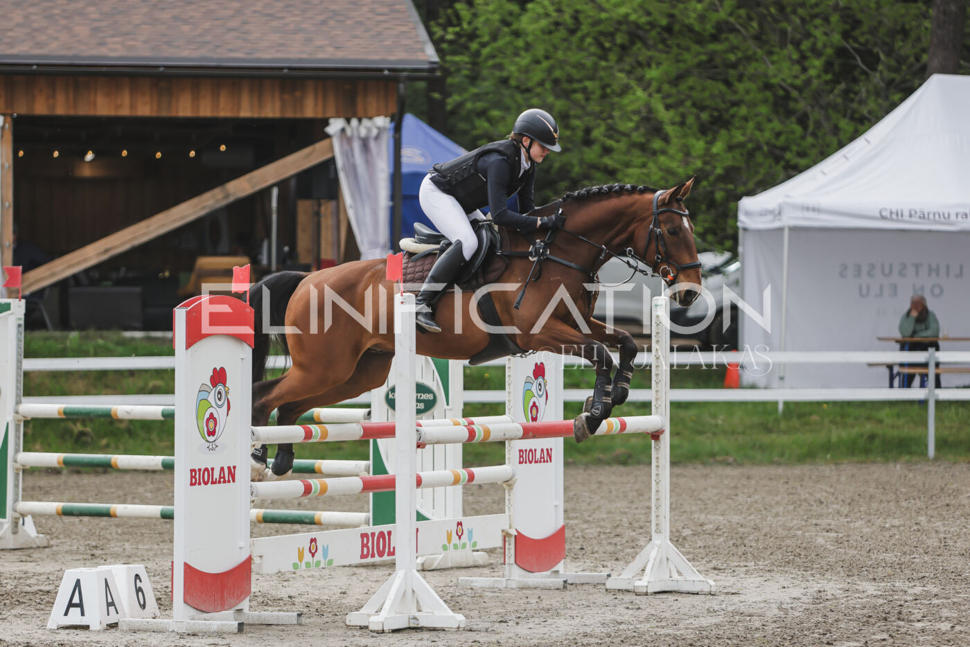 Parnu_CHI_3V_2026_CCN100_TS_019