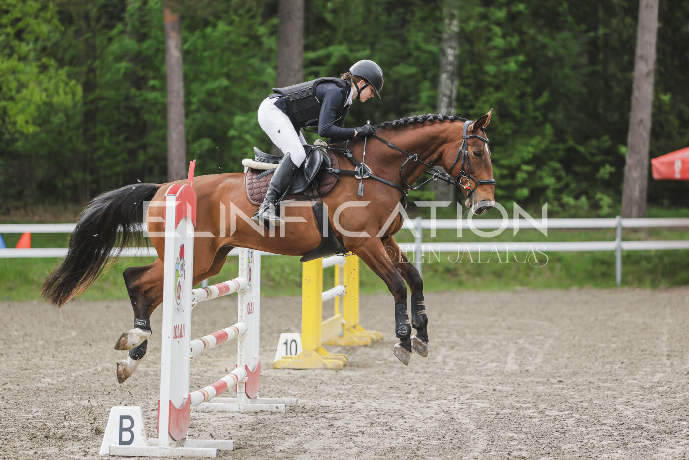 Parnu_CHI_3V_2026_CCN100_TS_022