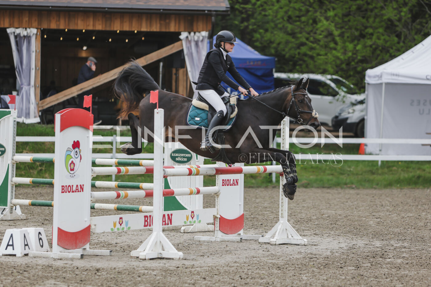 Parnu_CHI_3V_2026_CCN100_TS_042