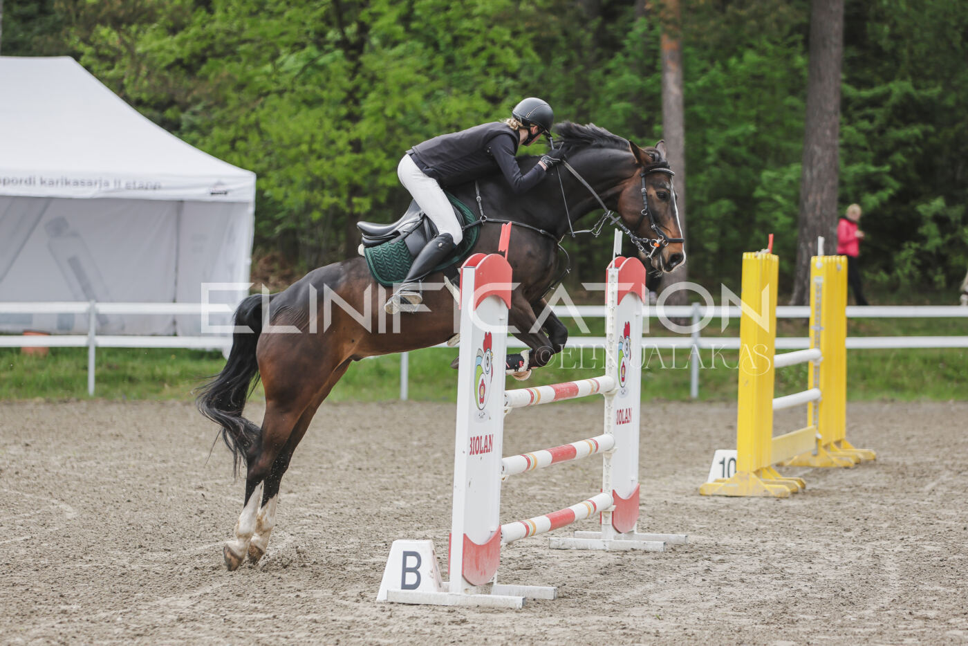 Parnu_CHI_3V_2026_CCN100_TS_061