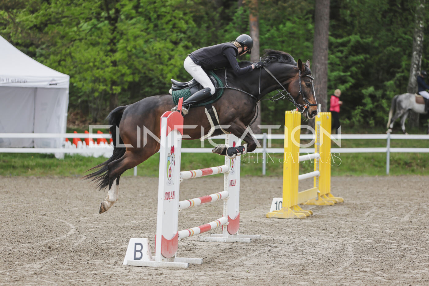 Parnu_CHI_3V_2026_CCN100_TS_062