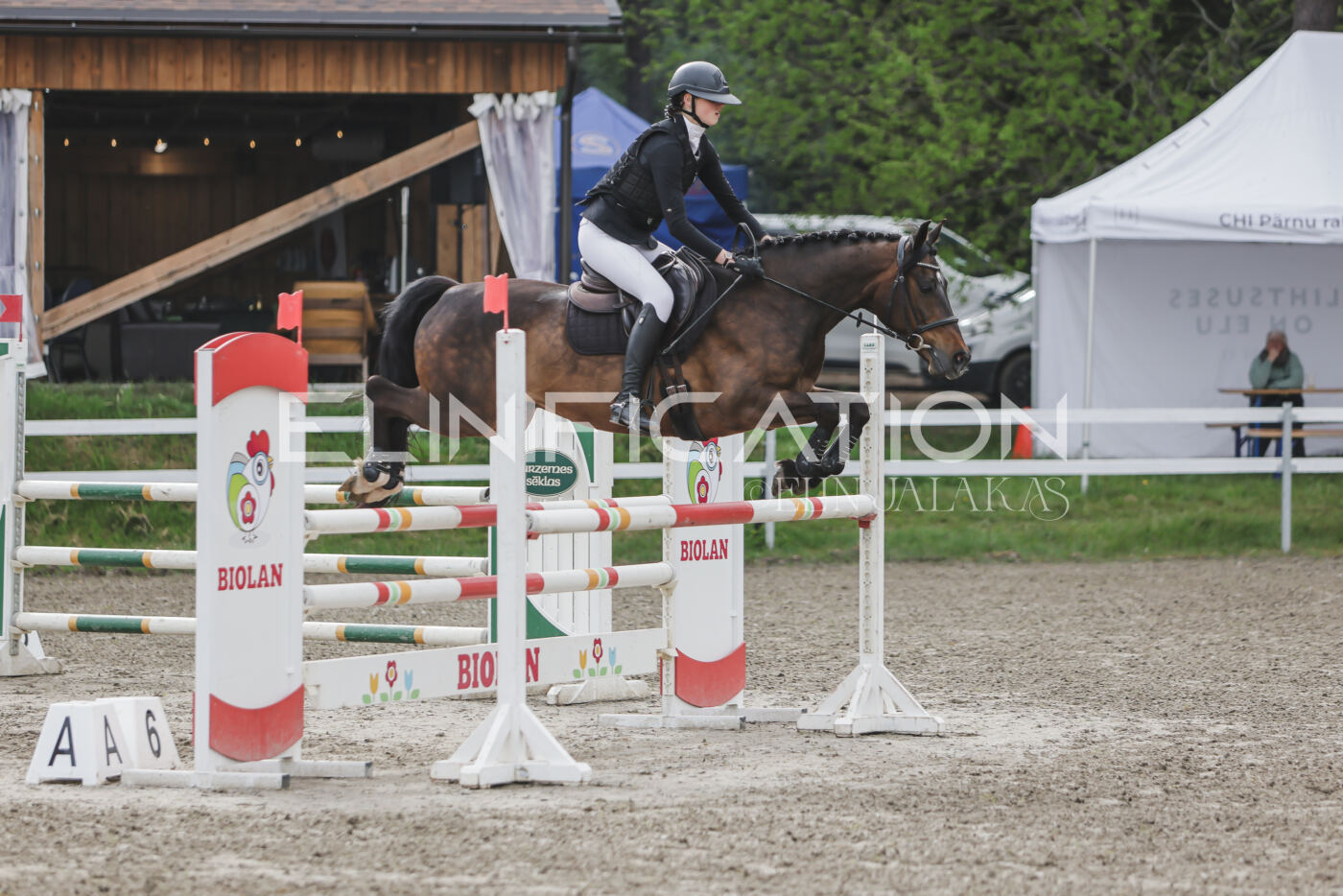 Parnu_CHI_3V_2026_CCN100_TS_076