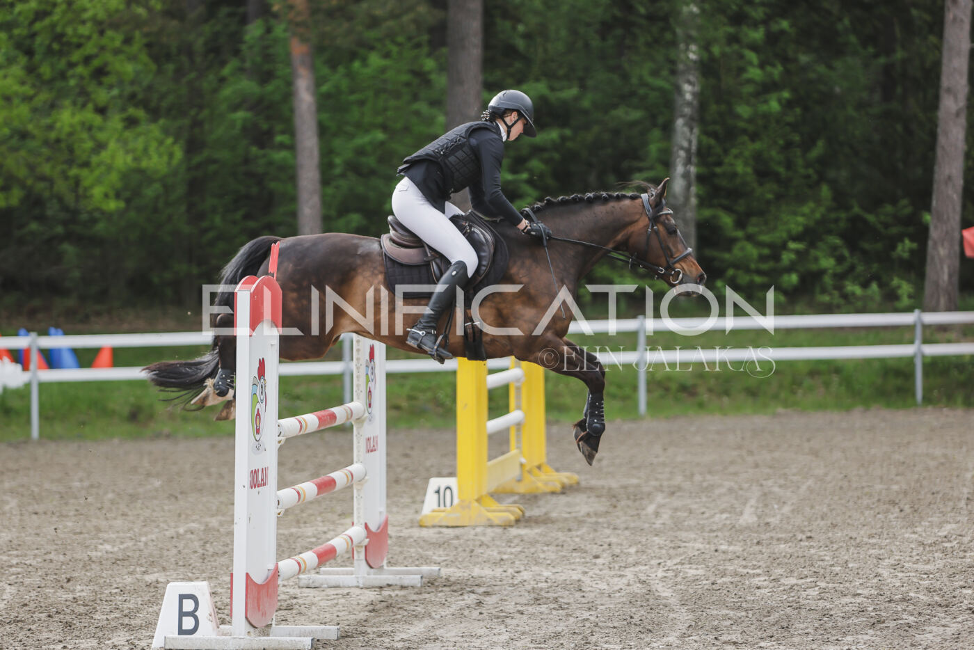 Parnu_CHI_3V_2026_CCN100_TS_081