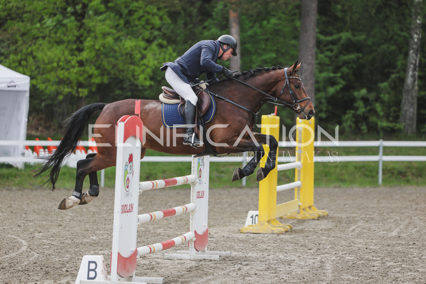 Parnu_CHI_3V_2026_CCN100_TS_093