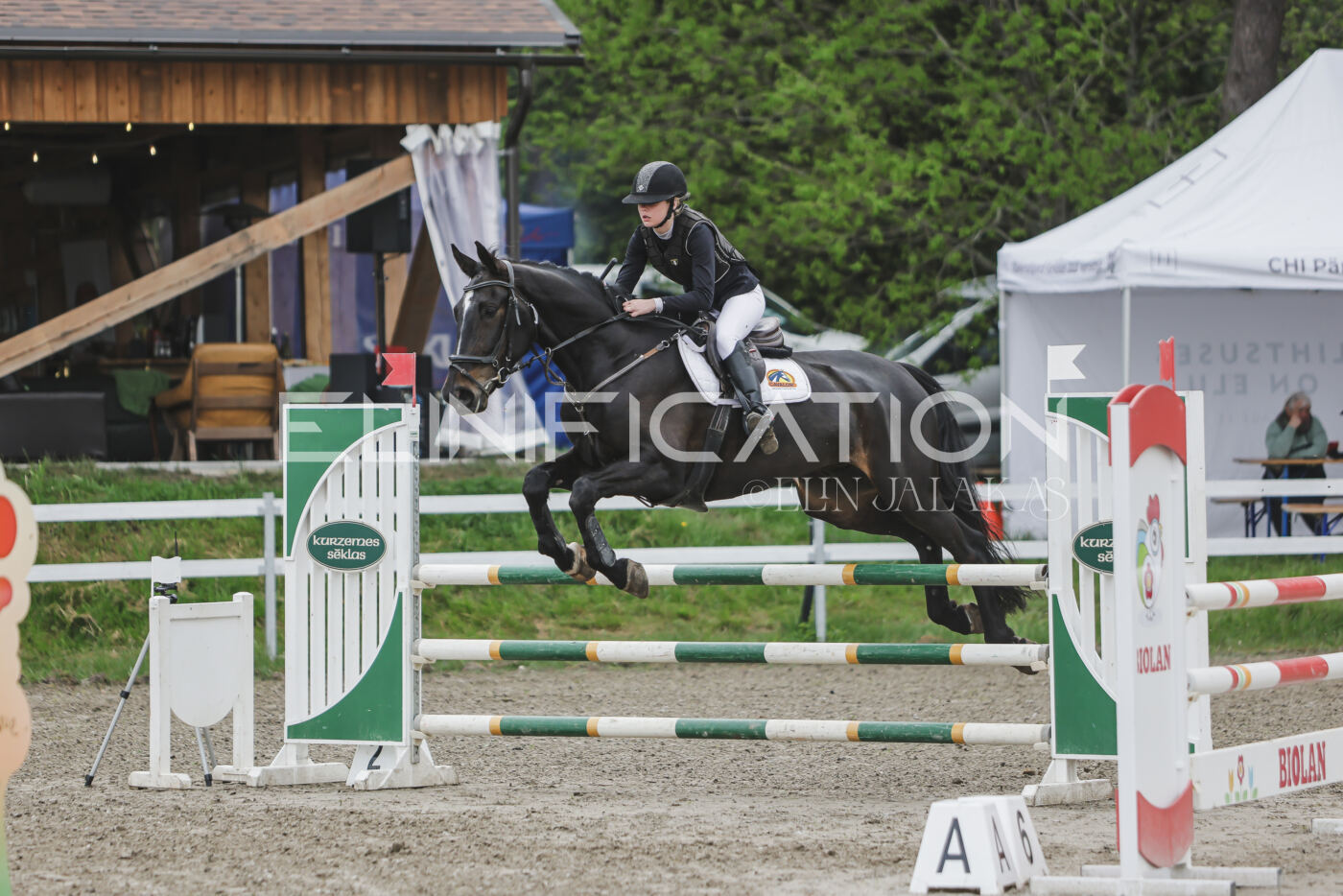 Parnu_CHI_3V_2026_CCN100_TS_099