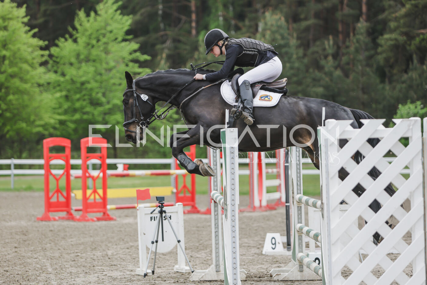 Parnu_CHI_3V_2026_CCN100_TS_101