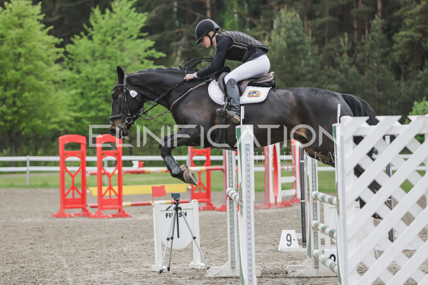 Parnu_CHI_3V_2026_CCN100_TS_102
