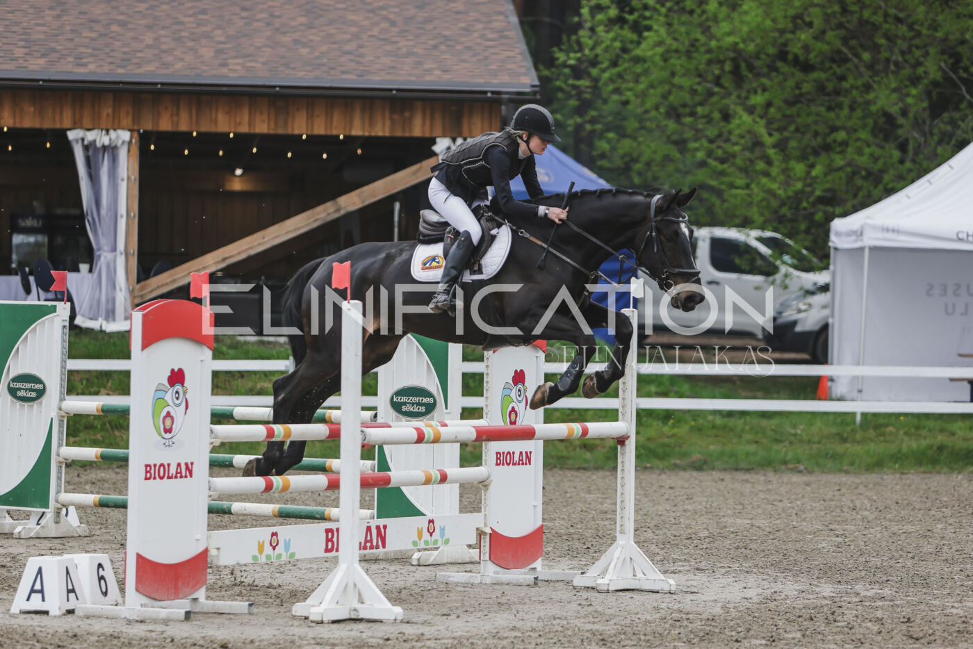 Parnu_CHI_3V_2026_CCN100_TS_104