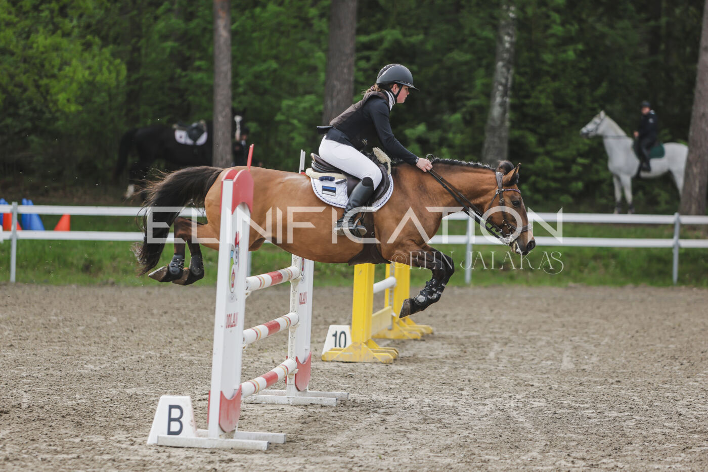 Parnu_CHI_3V_2026_CCN100_TS_124