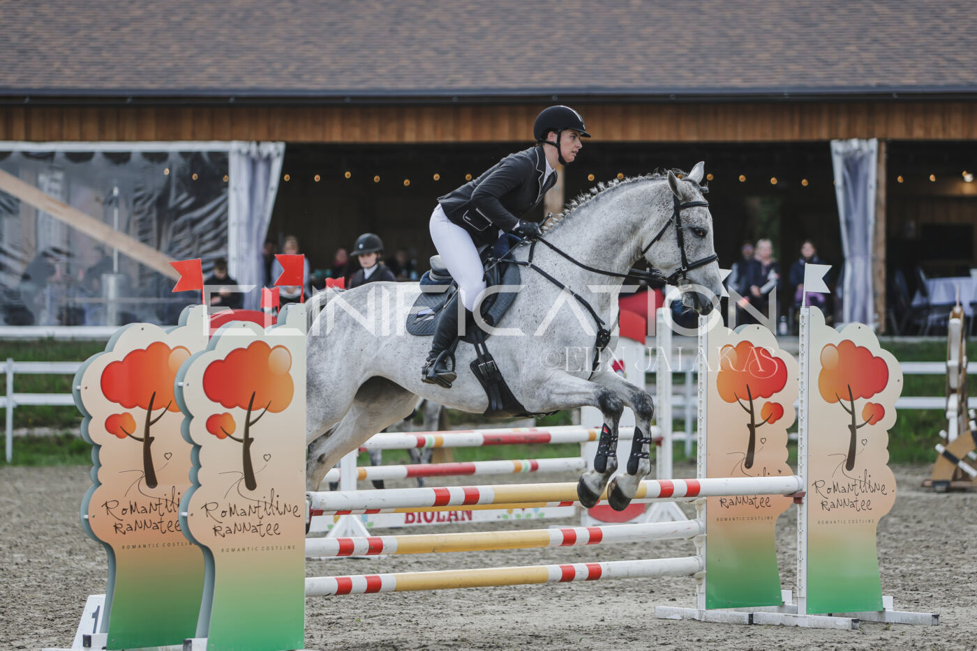 Parnu_CHI_3V_2026_CCN80_TS_002
