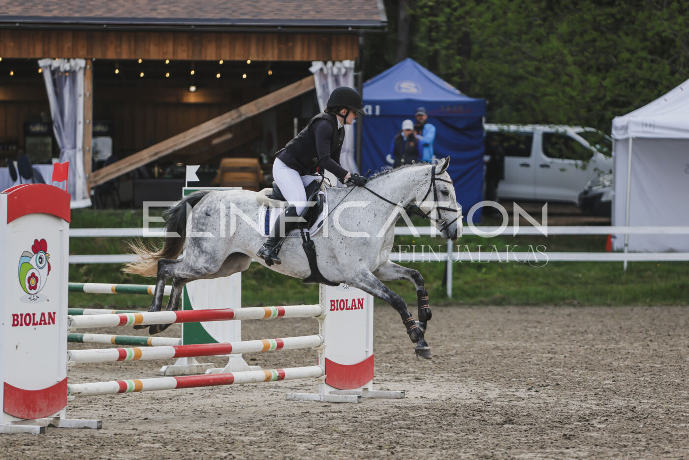 Parnu_CHI_3V_2026_CCN80_TS_023