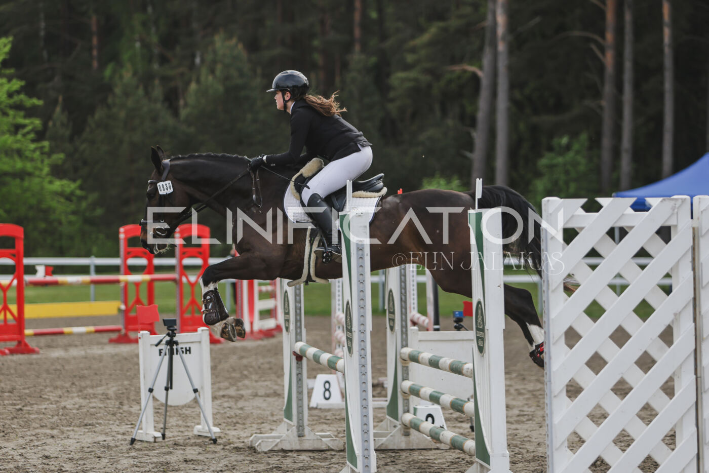 Parnu_CHI_3V_2026_CCN80_TS_037