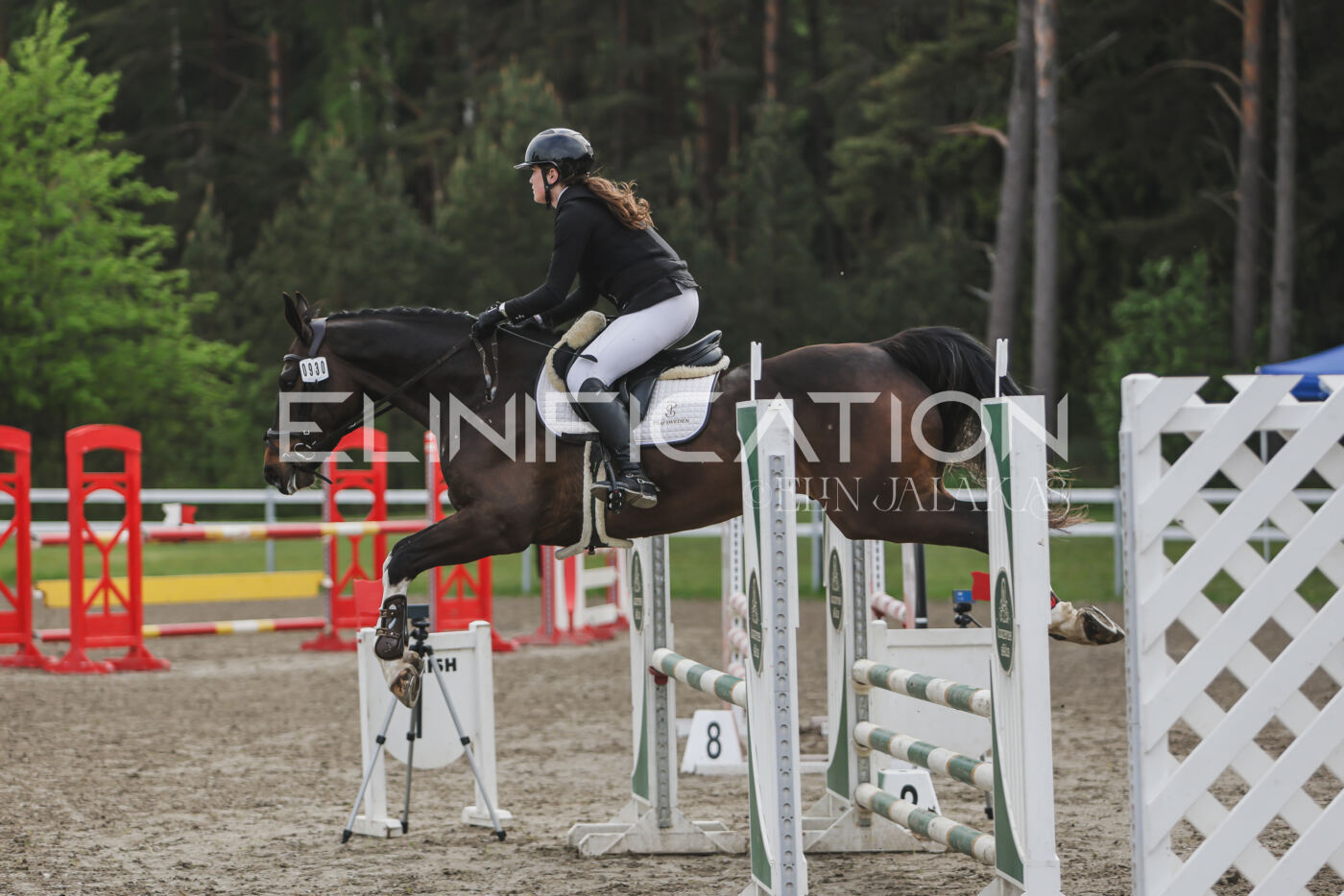 Parnu_CHI_3V_2026_CCN80_TS_038