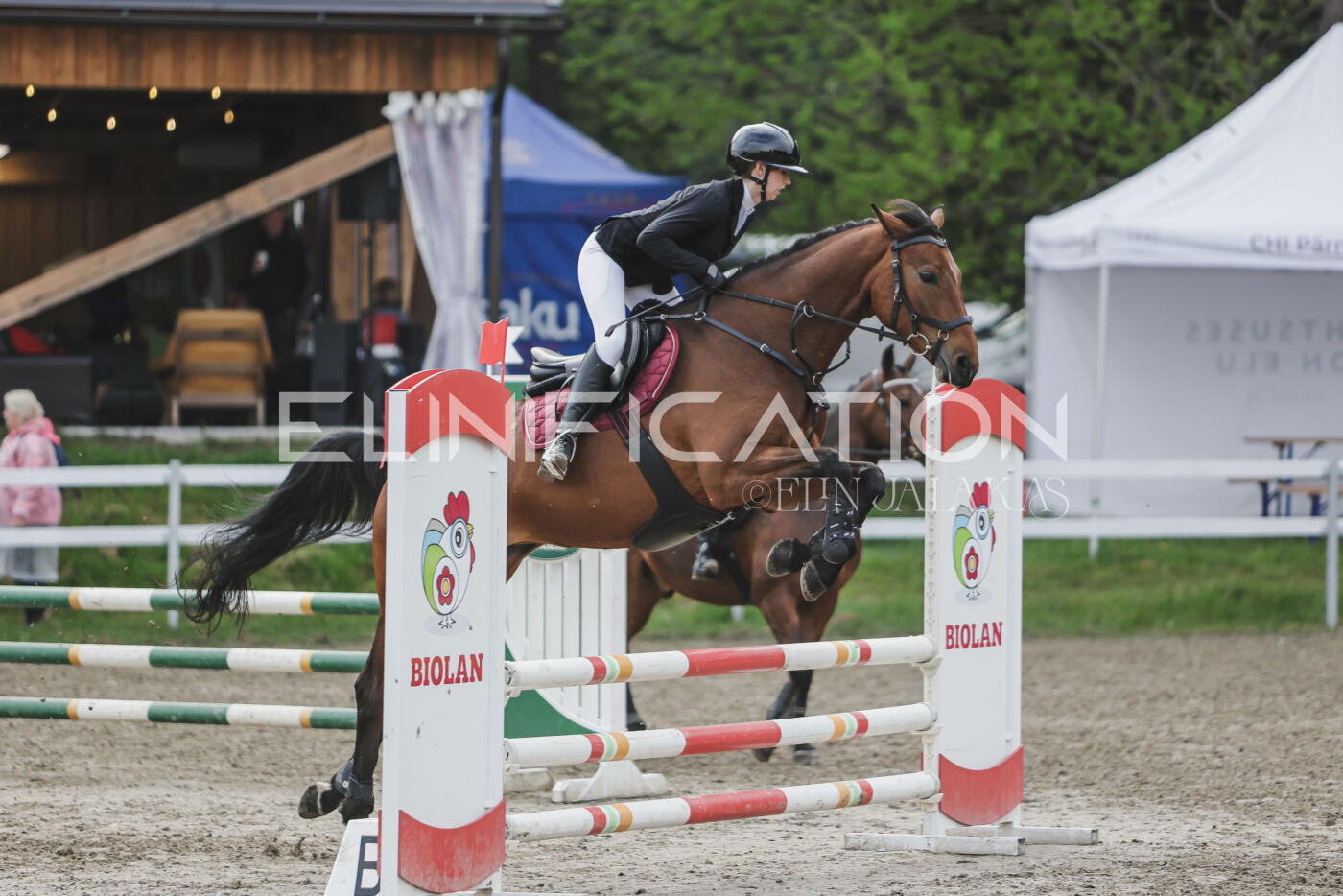 Parnu_CHI_3V_2026_CCN80_TS_058