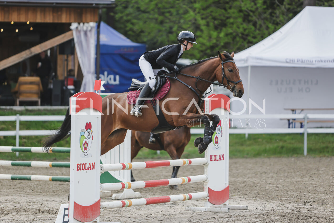 Parnu_CHI_3V_2026_CCN80_TS_059