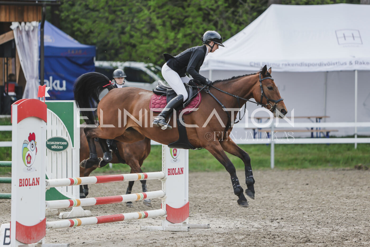 Parnu_CHI_3V_2026_CCN80_TS_061
