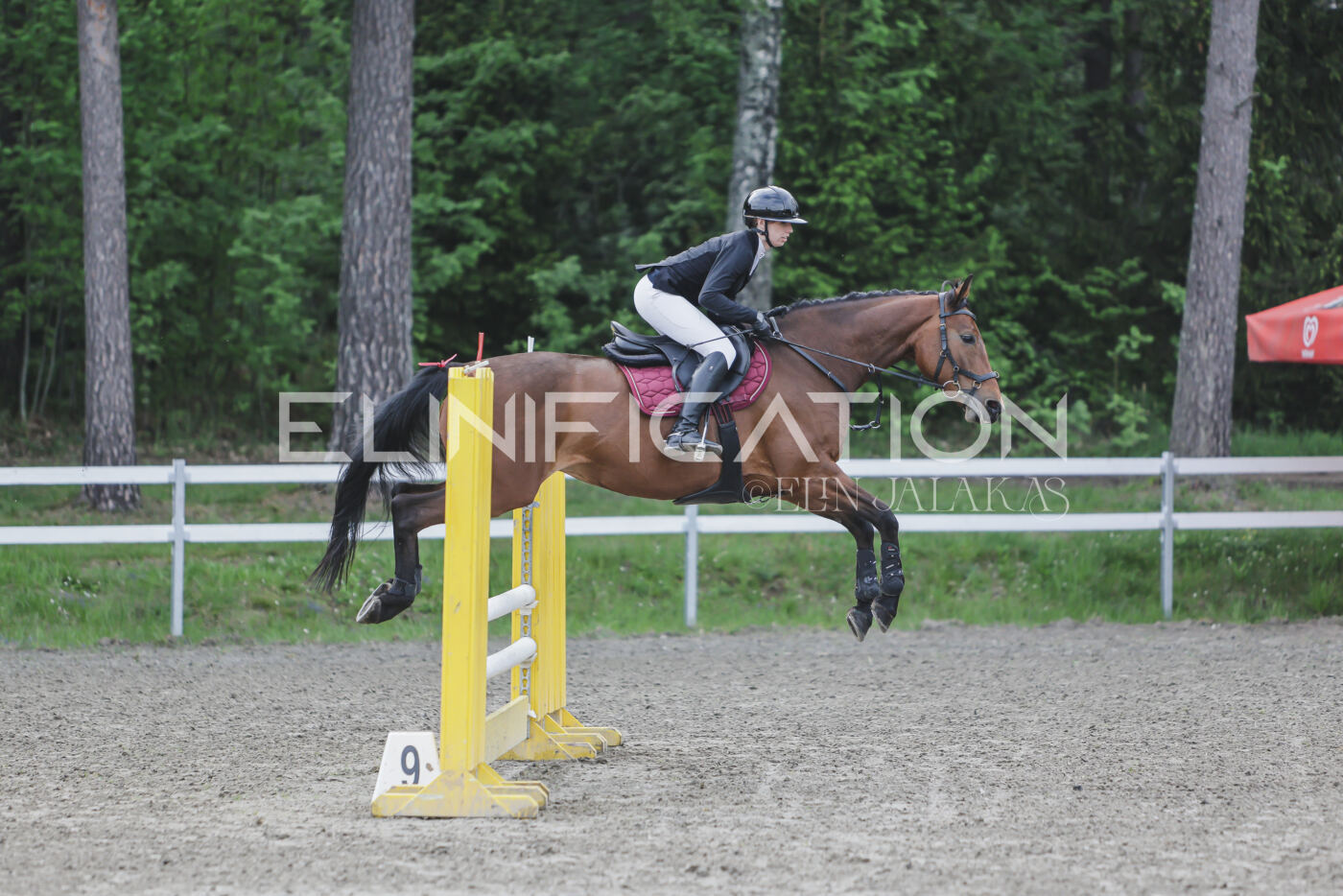 Parnu_CHI_3V_2026_CCN80_TS_065