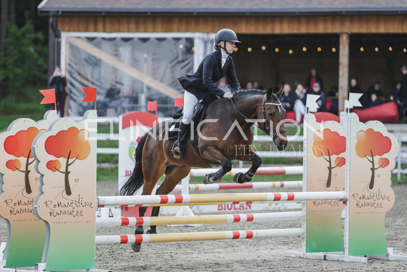 Parnu_CHI_3V_2026_CCN80_TS_066