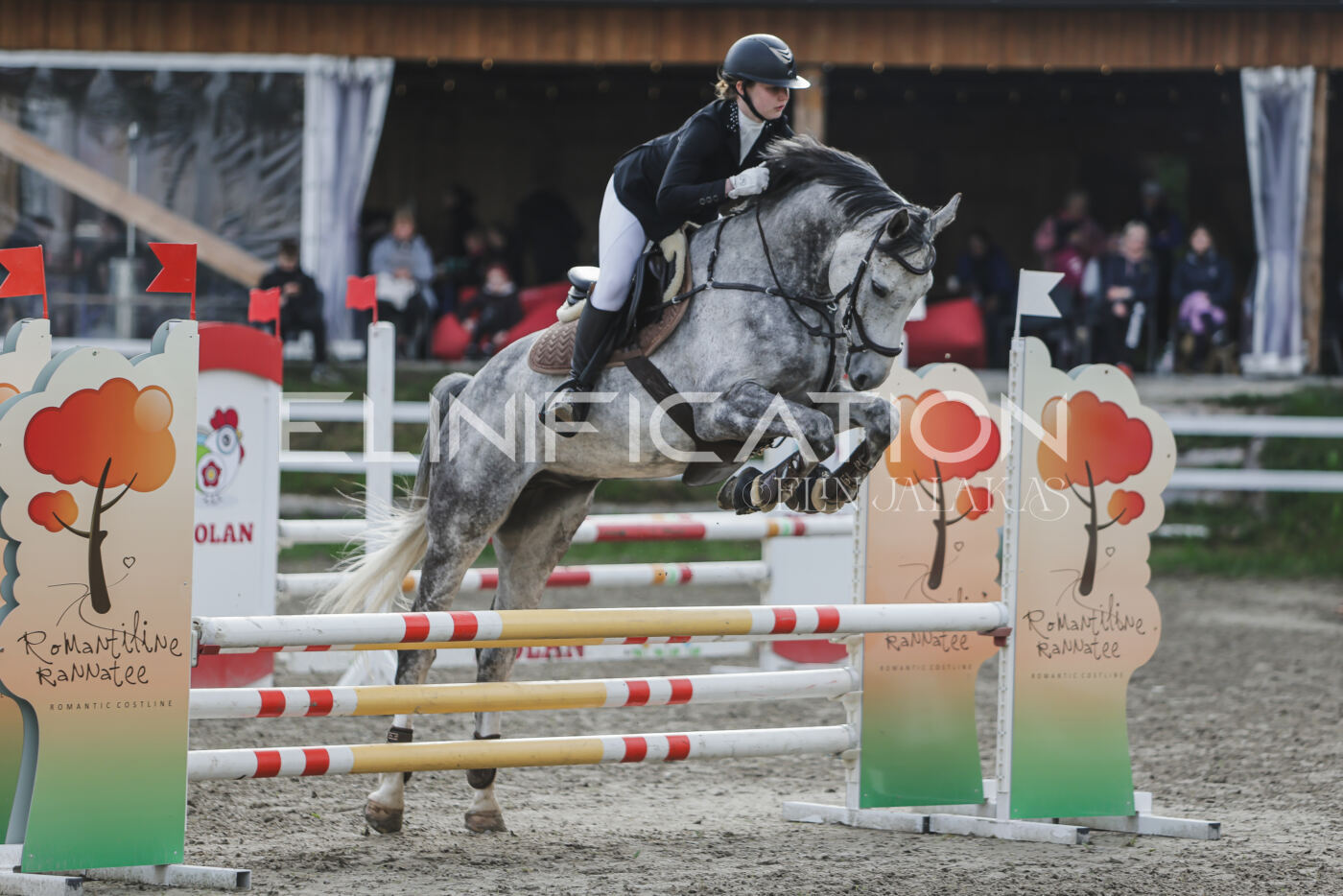 Parnu_CHI_3V_2026_CCN80_TS_079