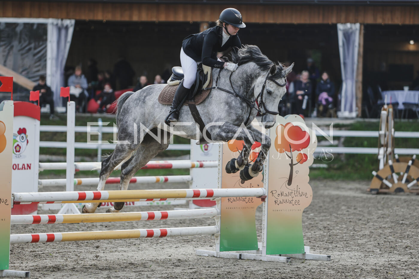 Parnu_CHI_3V_2026_CCN80_TS_081