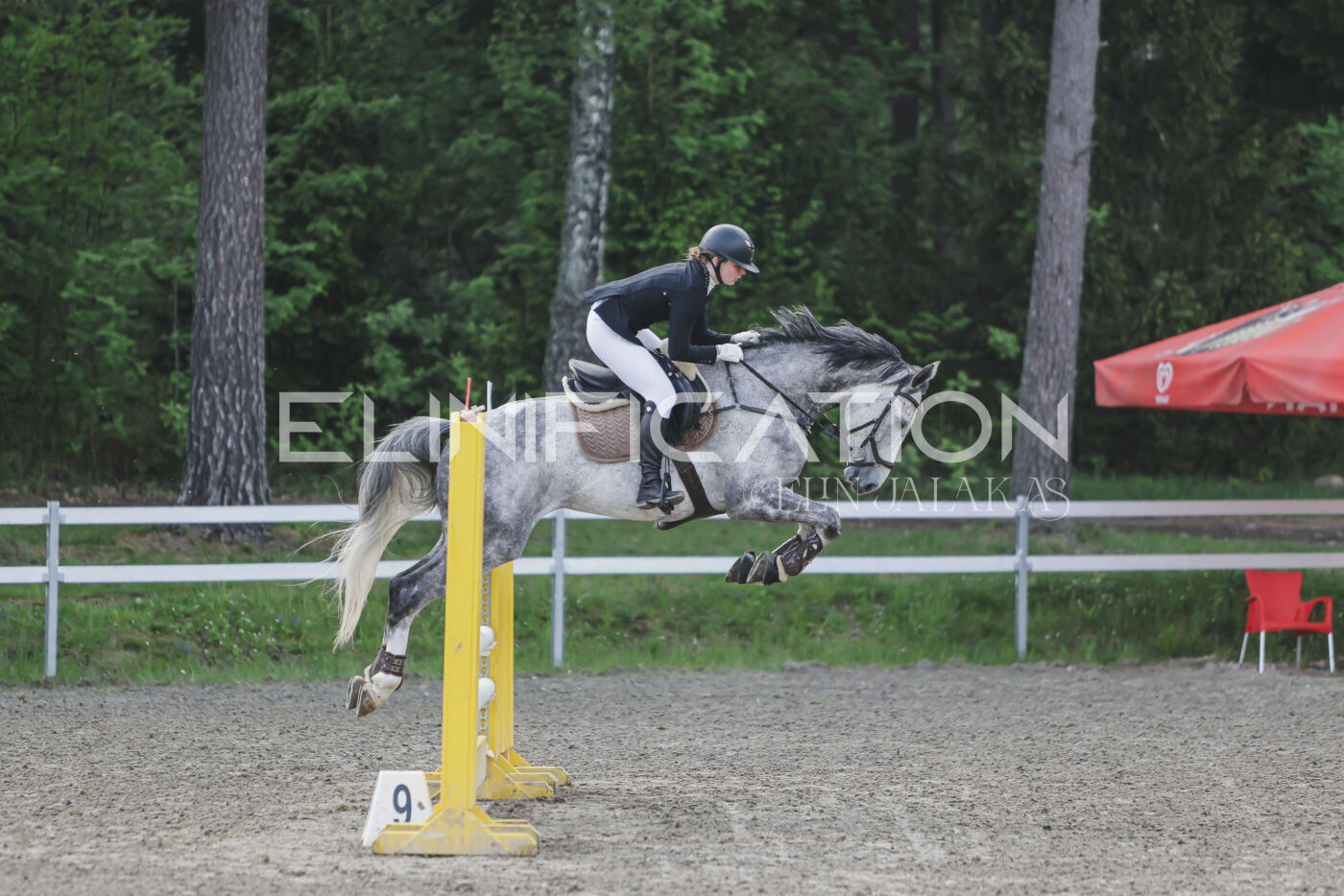 Parnu_CHI_3V_2026_CCN80_TS_097