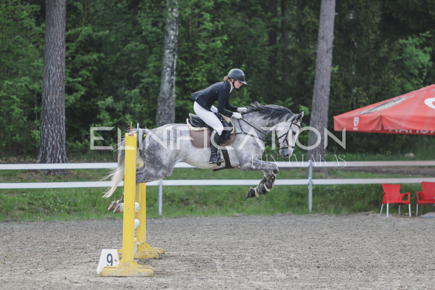 Parnu_CHI_3V_2026_CCN80_TS_098