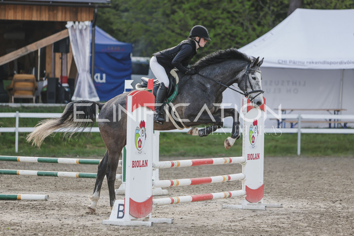 Parnu_CHI_3V_2026_CCN80_TS_133