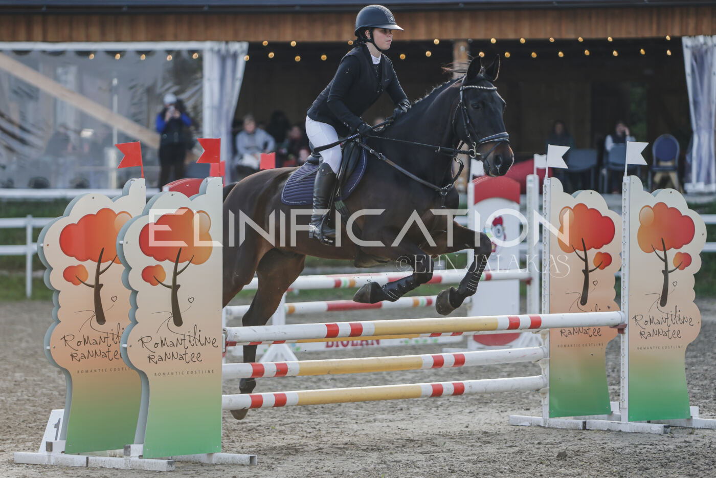 Parnu_CHI_3V_2026_CCN80_TS_151