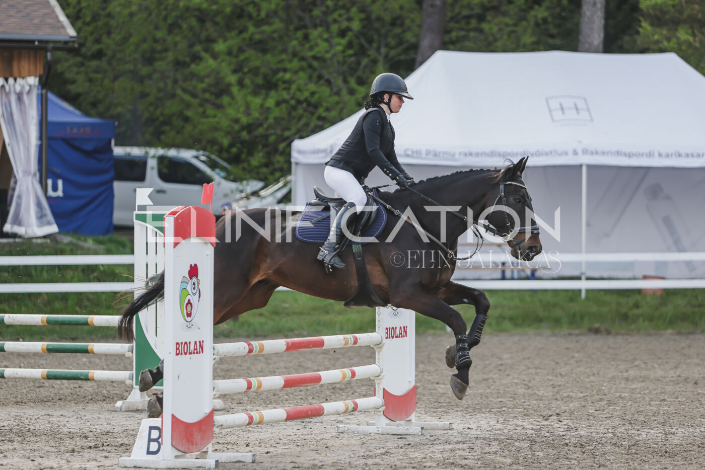 Parnu_CHI_3V_2026_CCN80_TS_156