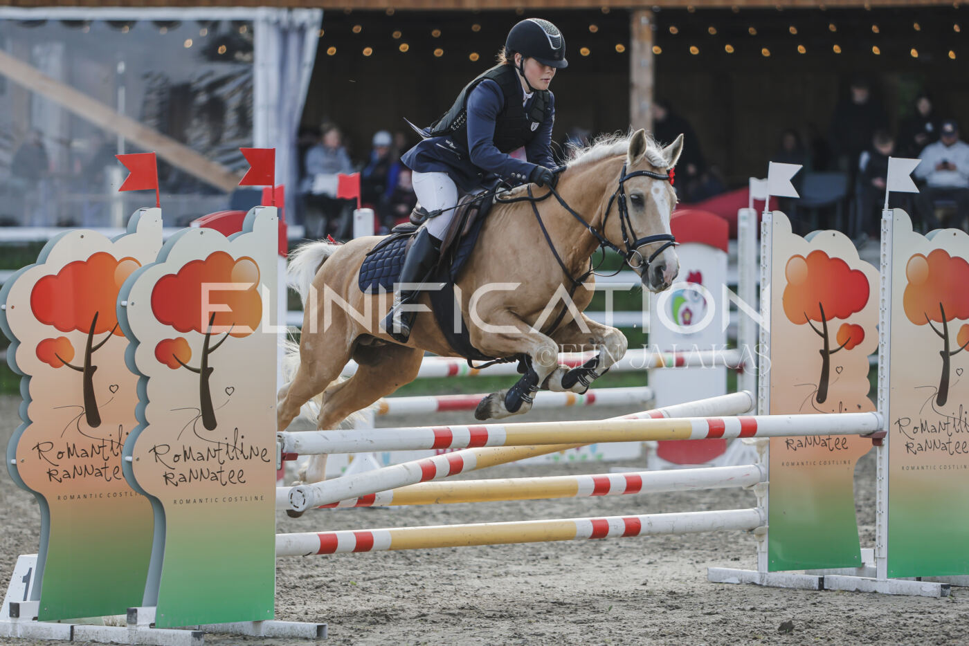 Parnu_CHI_3V_2026_CCN80_TS_160