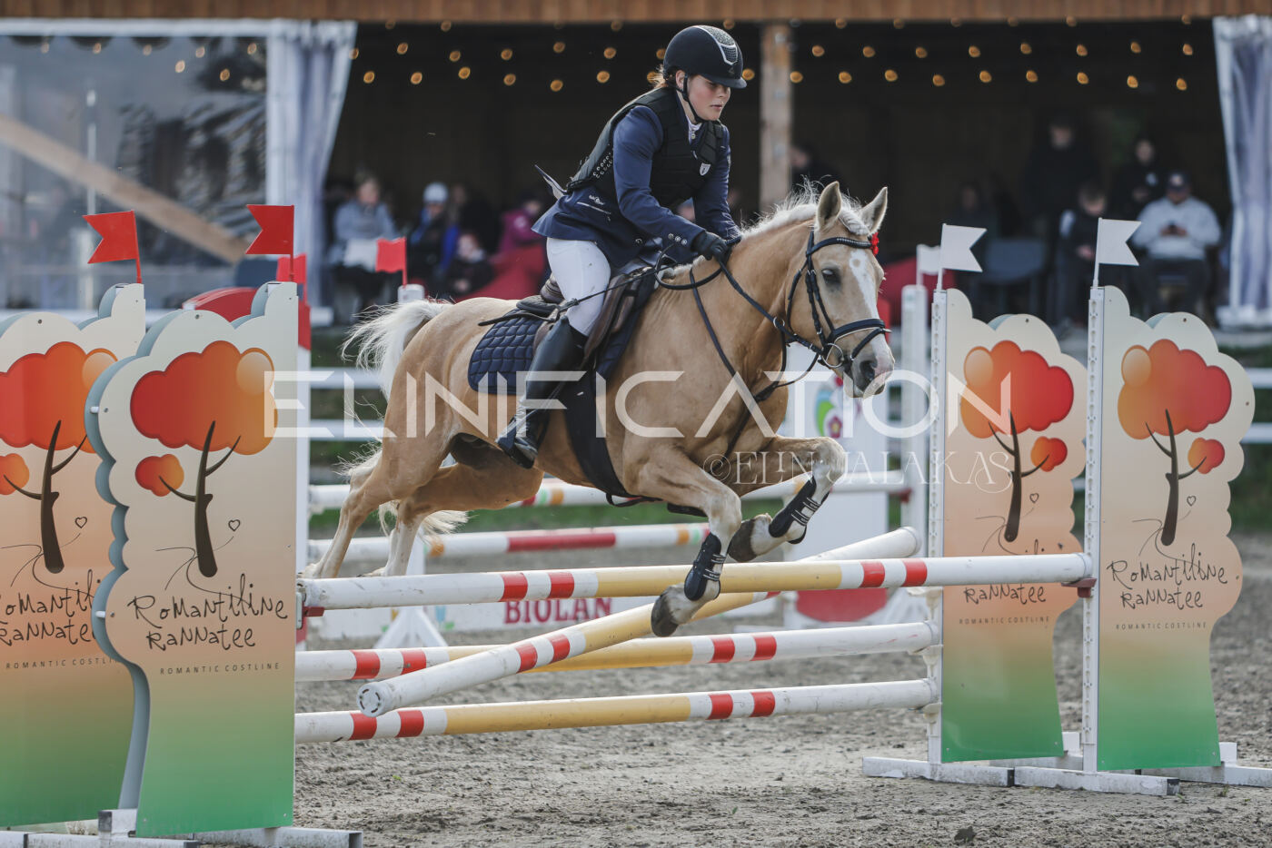 Parnu_CHI_3V_2026_CCN80_TS_161