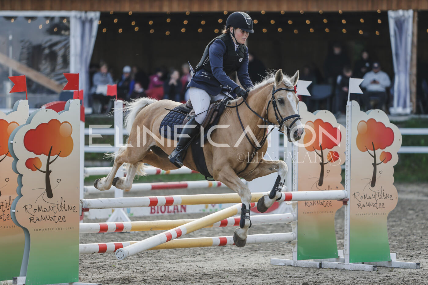Parnu_CHI_3V_2026_CCN80_TS_162