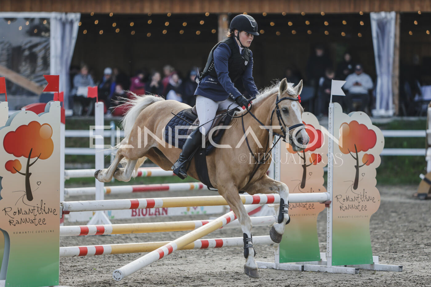 Parnu_CHI_3V_2026_CCN80_TS_163