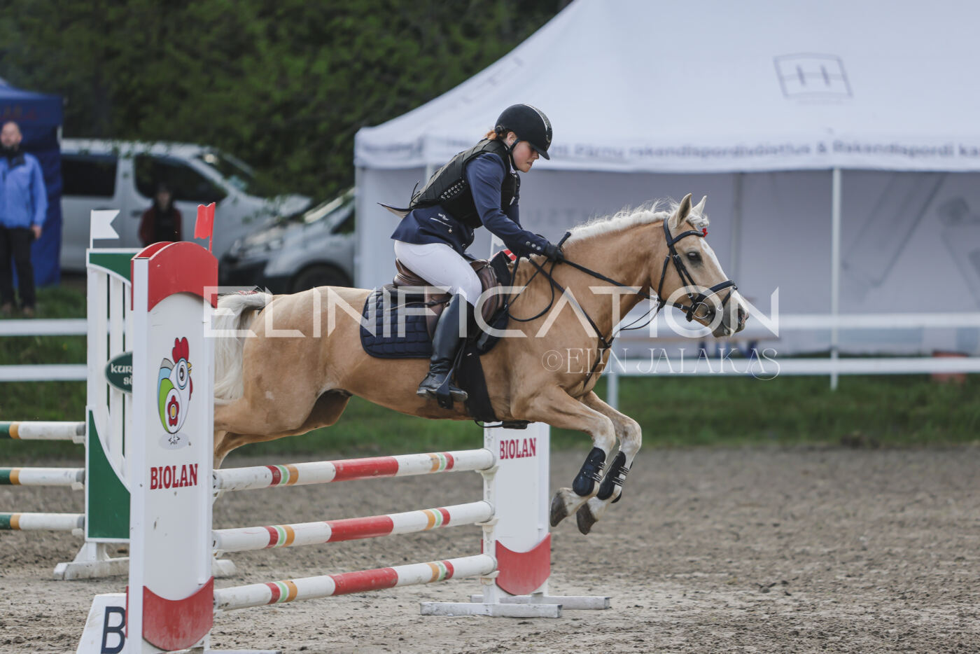Parnu_CHI_3V_2026_CCN80_TS_167