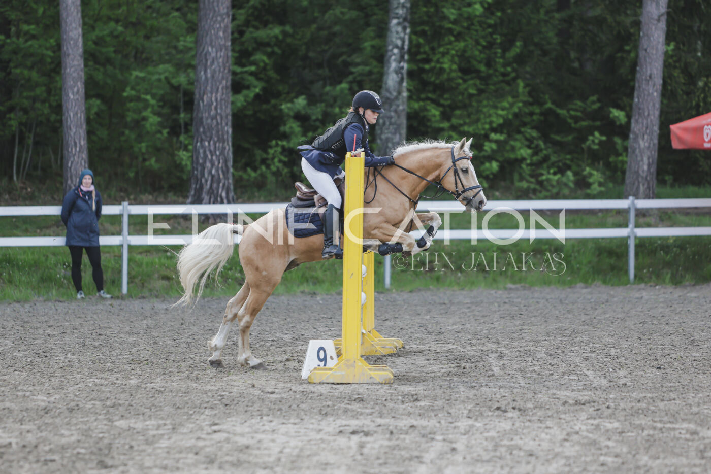 Parnu_CHI_3V_2026_CCN80_TS_168