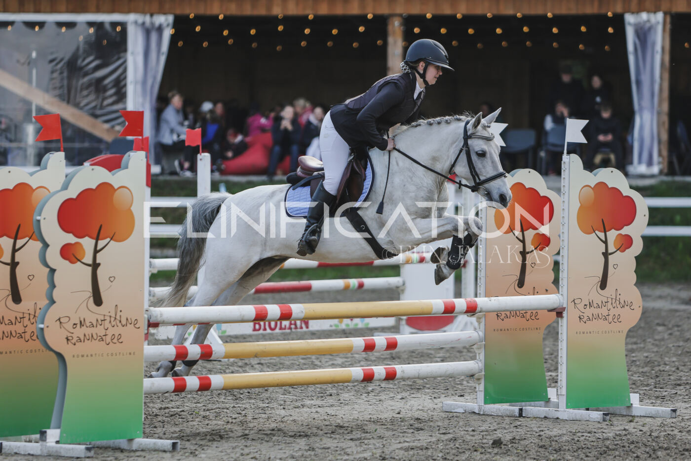 Parnu_CHI_3V_2026_CCN80_TS_173