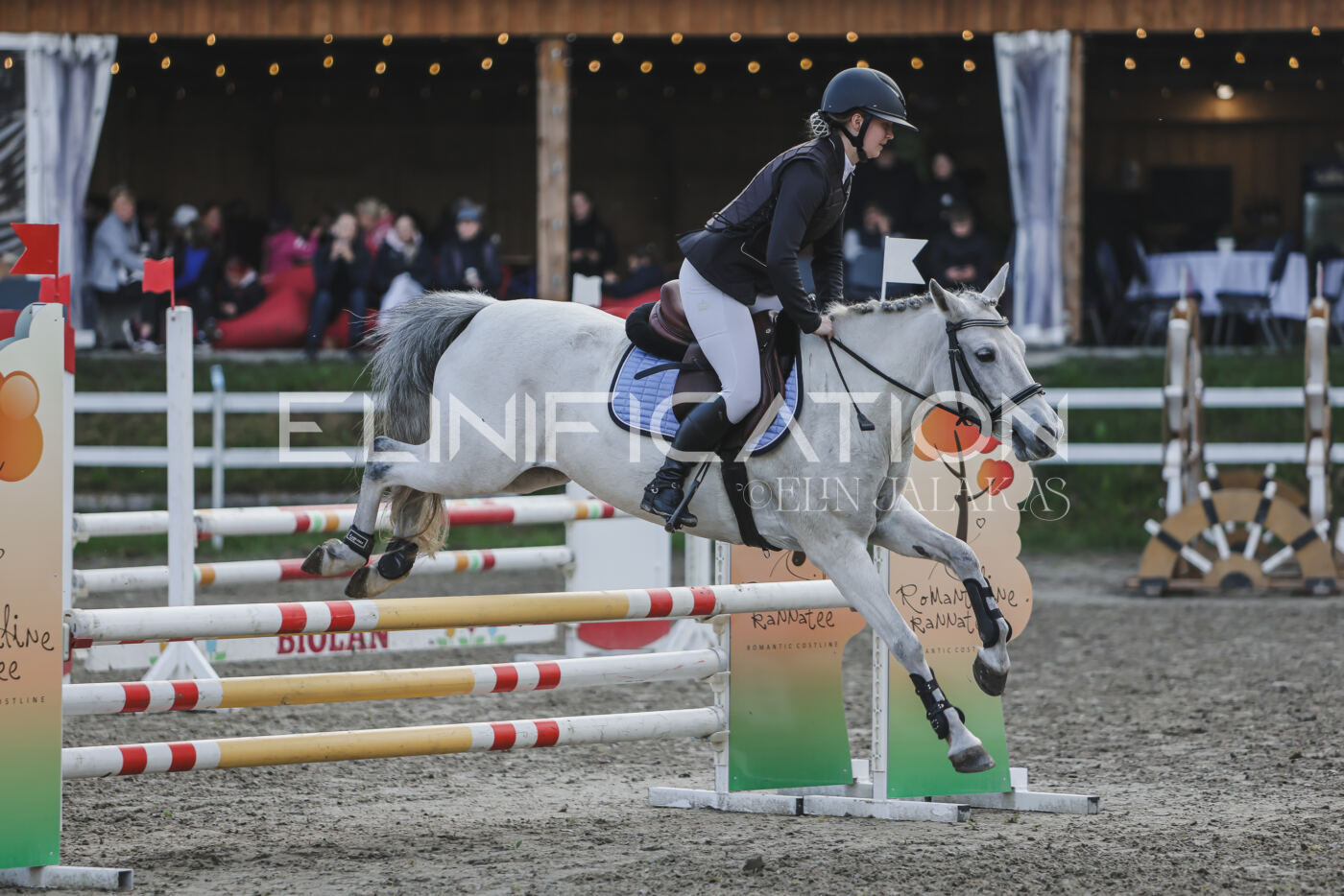 Parnu_CHI_3V_2026_CCN80_TS_175
