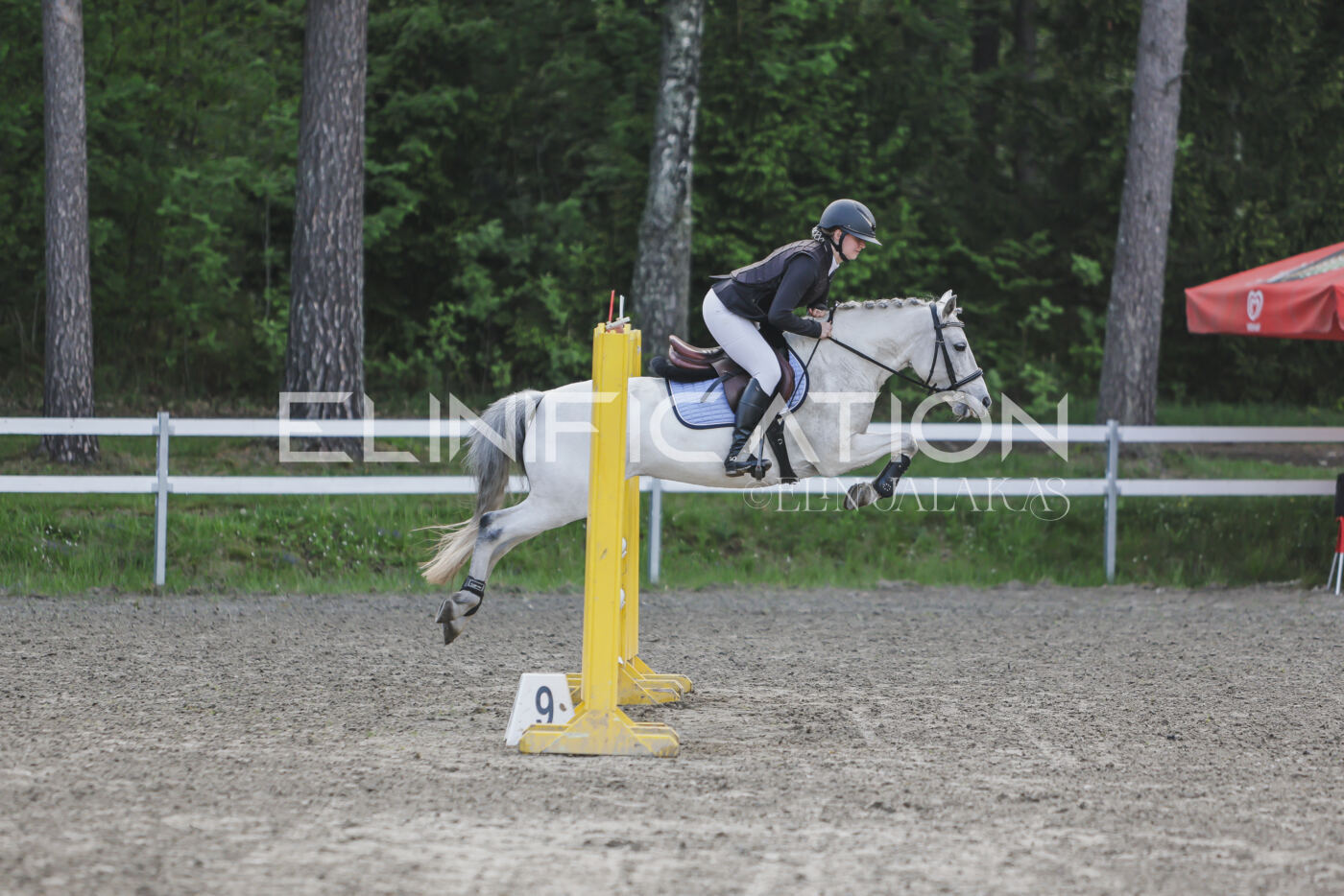 Parnu_CHI_3V_2026_CCN80_TS_184