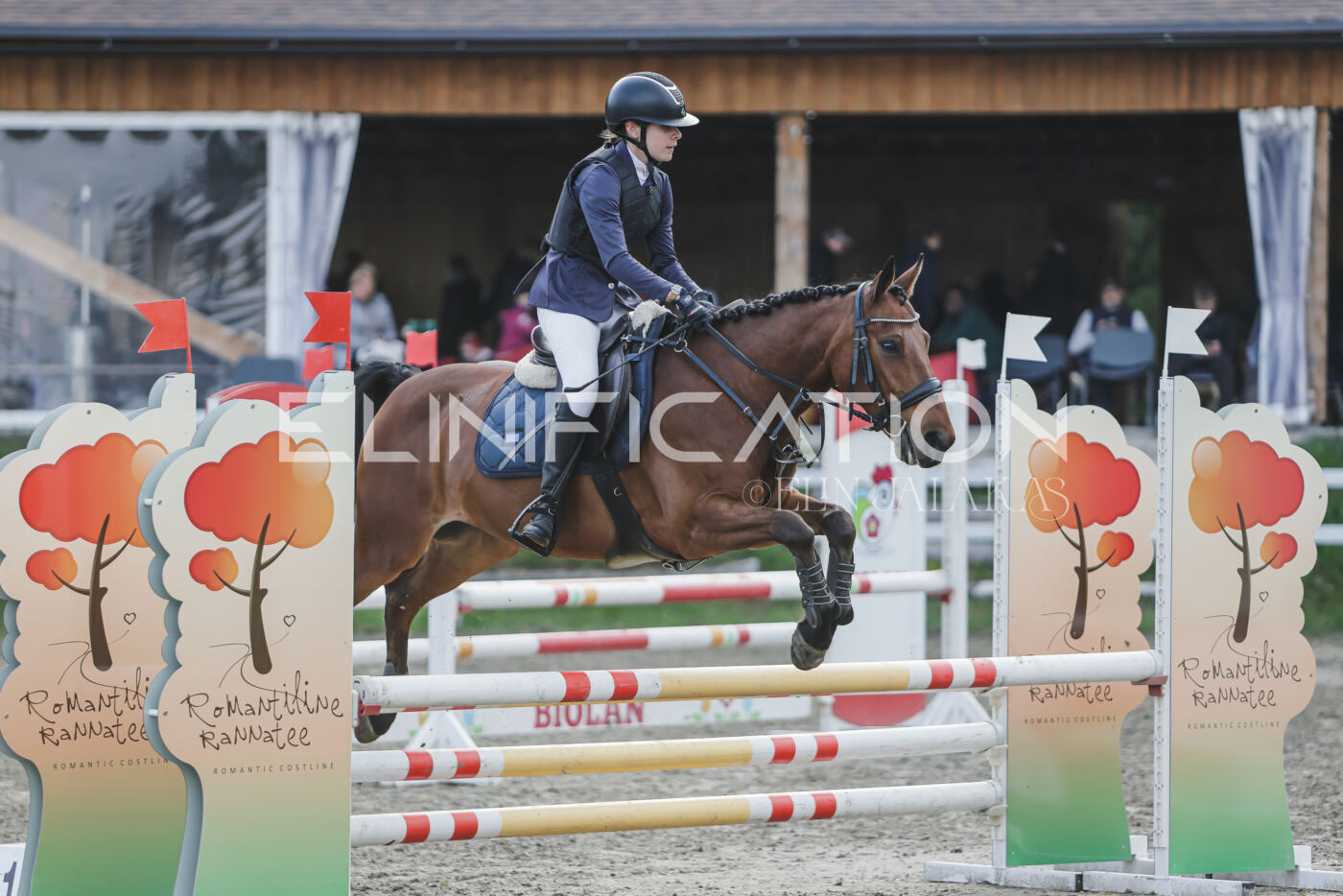 Parnu_CHI_3V_2026_CCN80_TS_186