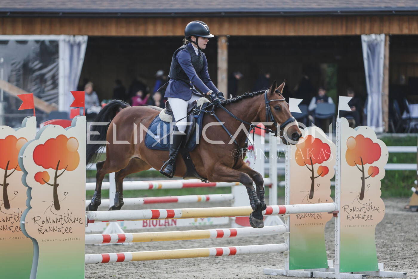 Parnu_CHI_3V_2026_CCN80_TS_187
