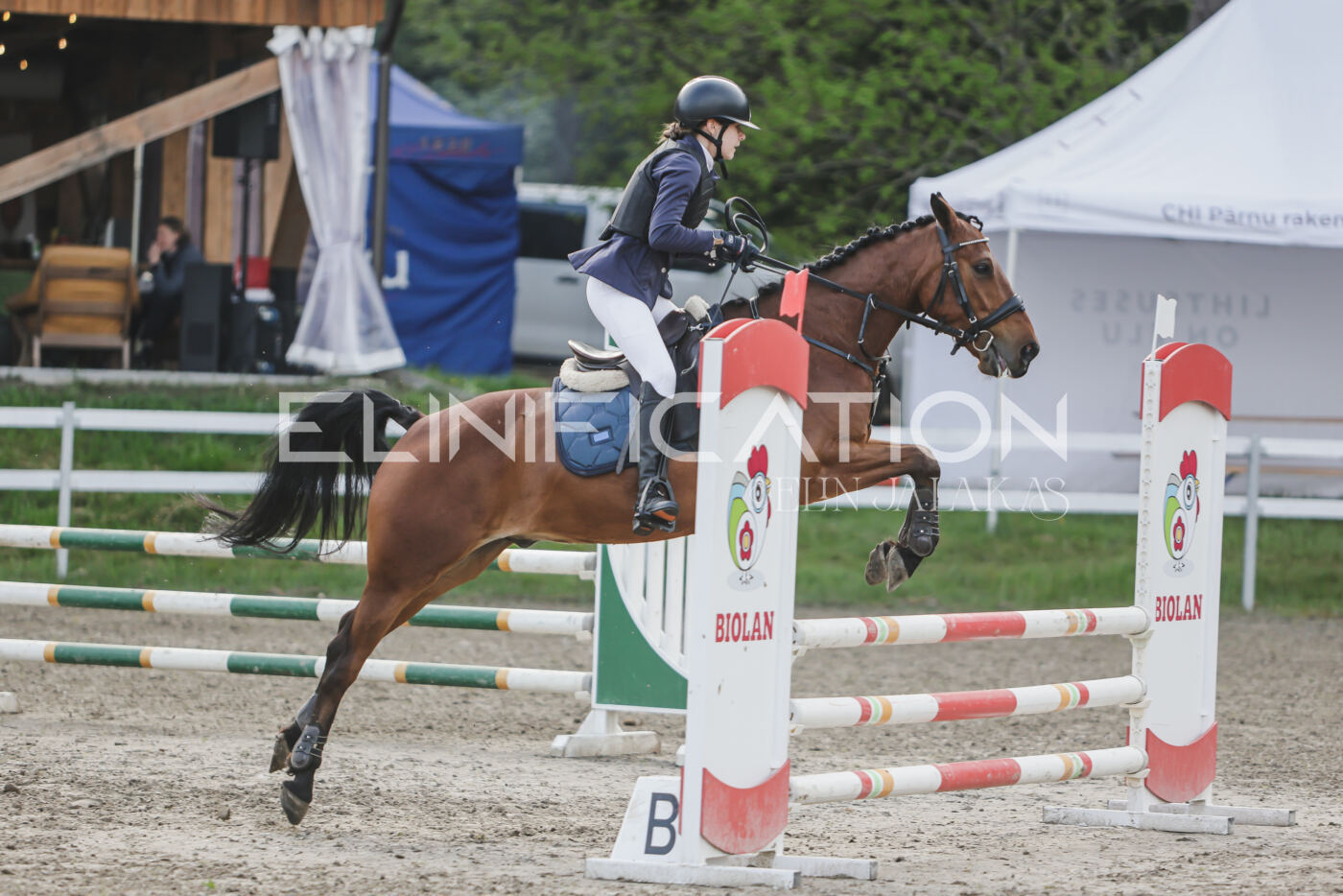 Parnu_CHI_3V_2026_CCN80_TS_191