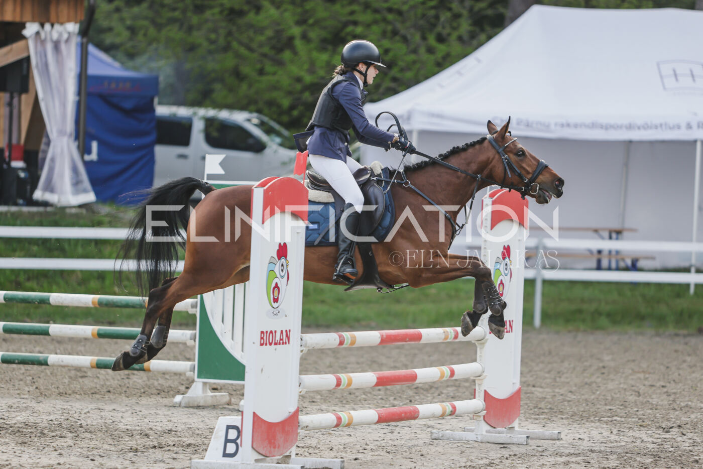 Parnu_CHI_3V_2026_CCN80_TS_193