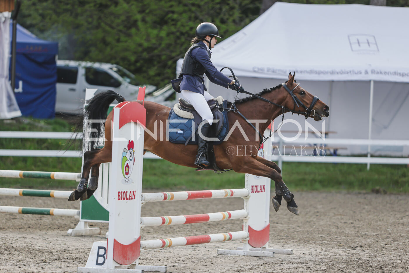Parnu_CHI_3V_2026_CCN80_TS_194