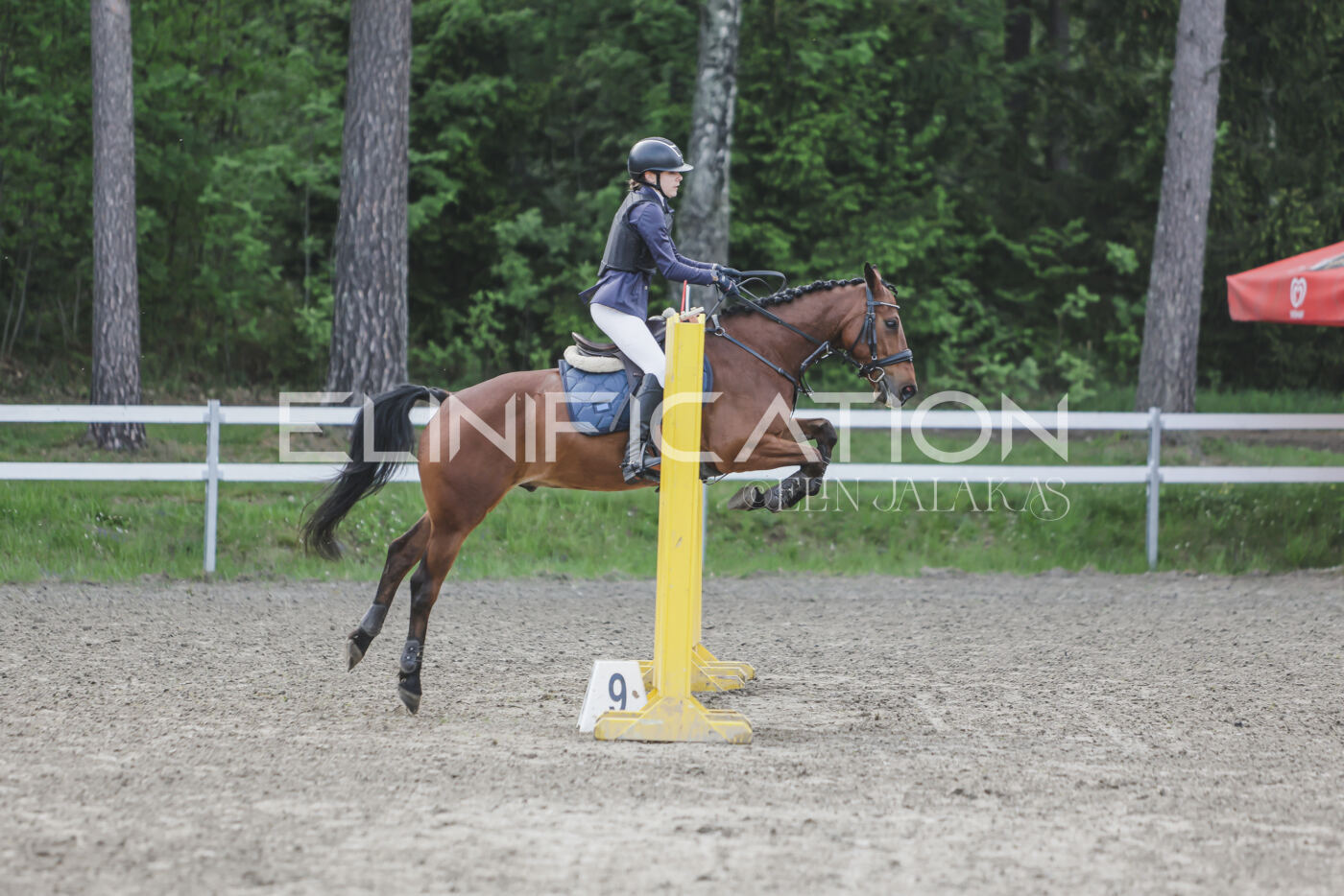 Parnu_CHI_3V_2026_CCN80_TS_195