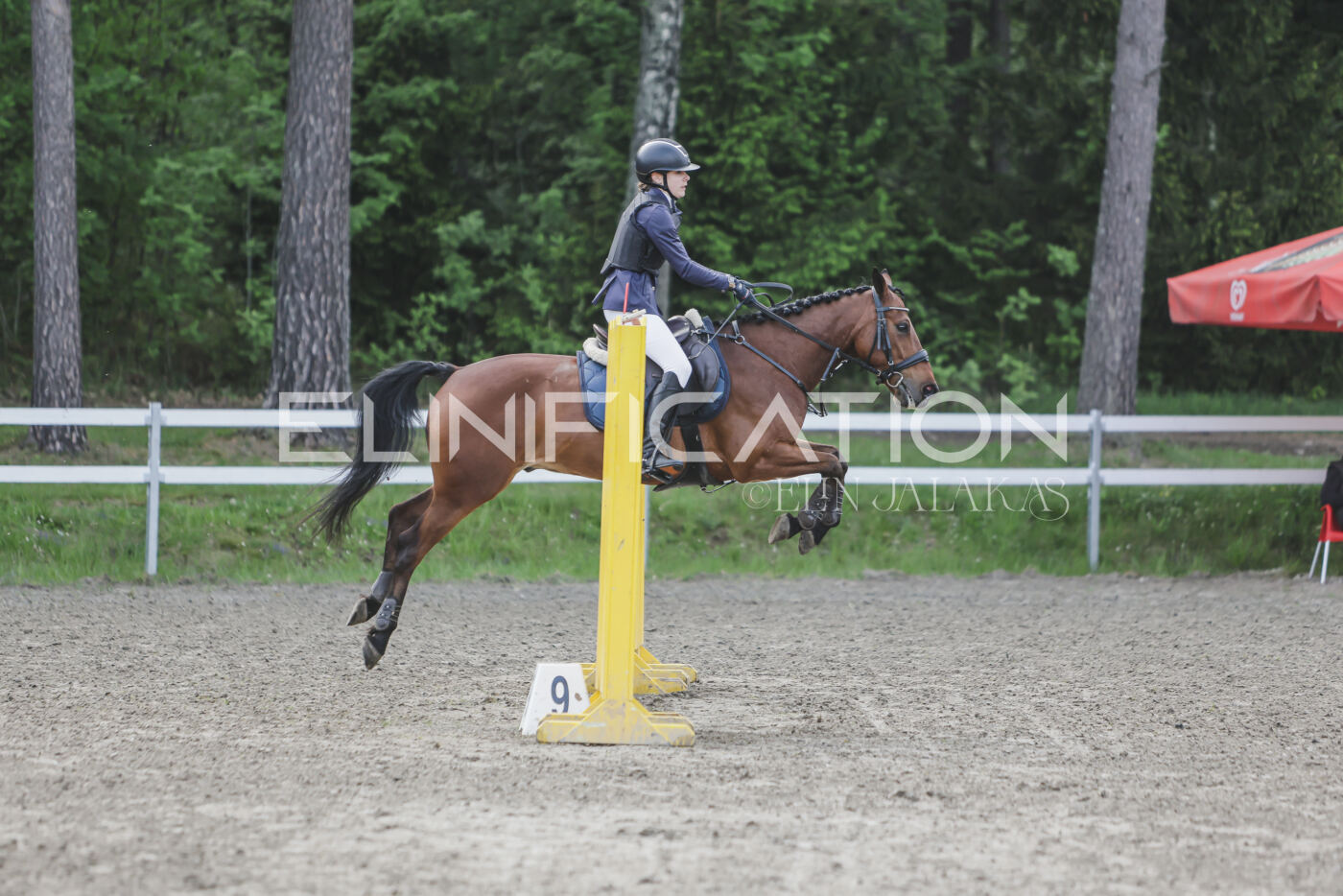 Parnu_CHI_3V_2026_CCN80_TS_196