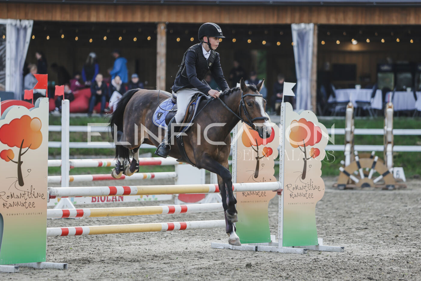 Parnu_CHI_3V_2026_CCN80_TS_202