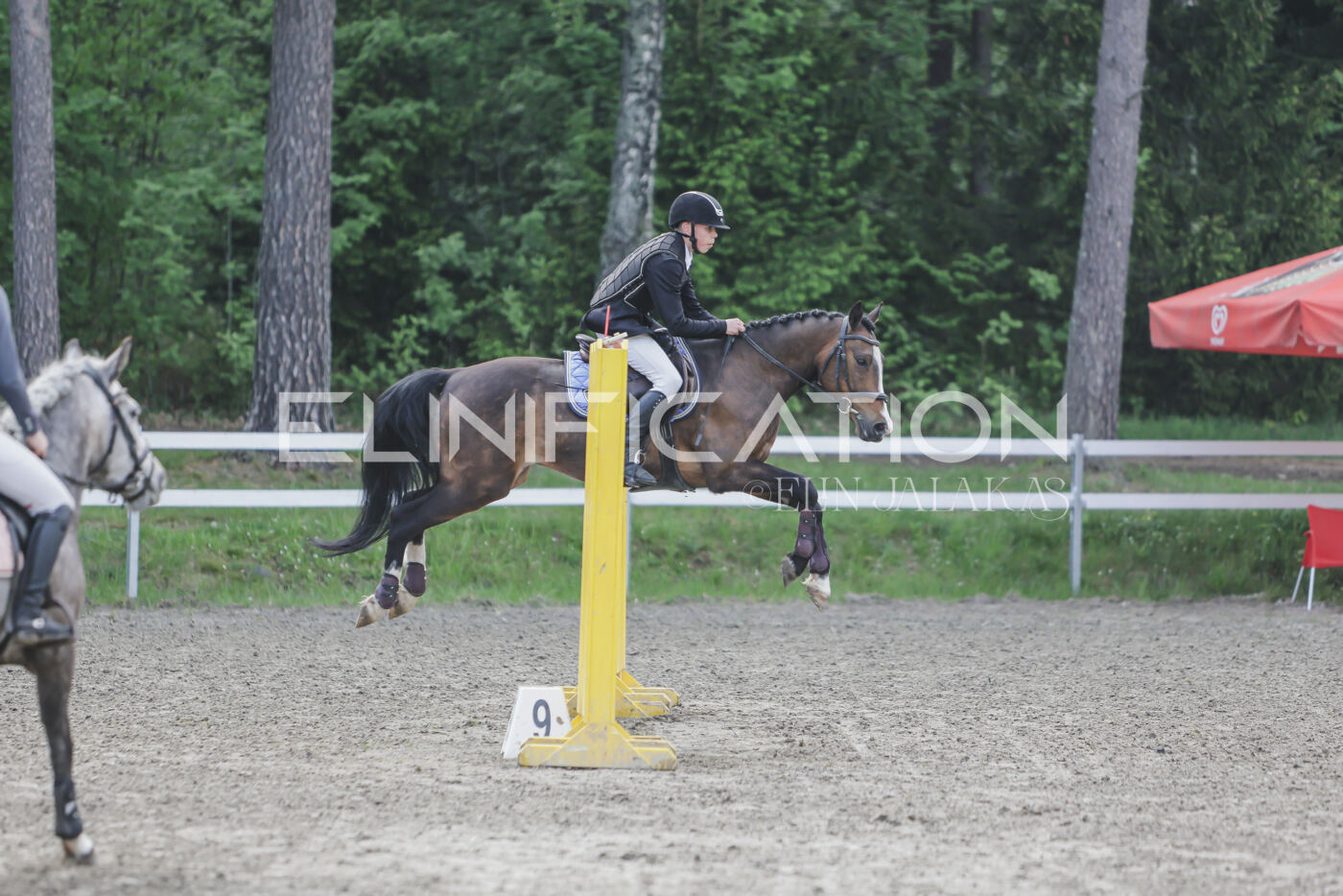 Parnu_CHI_3V_2026_CCN80_TS_208