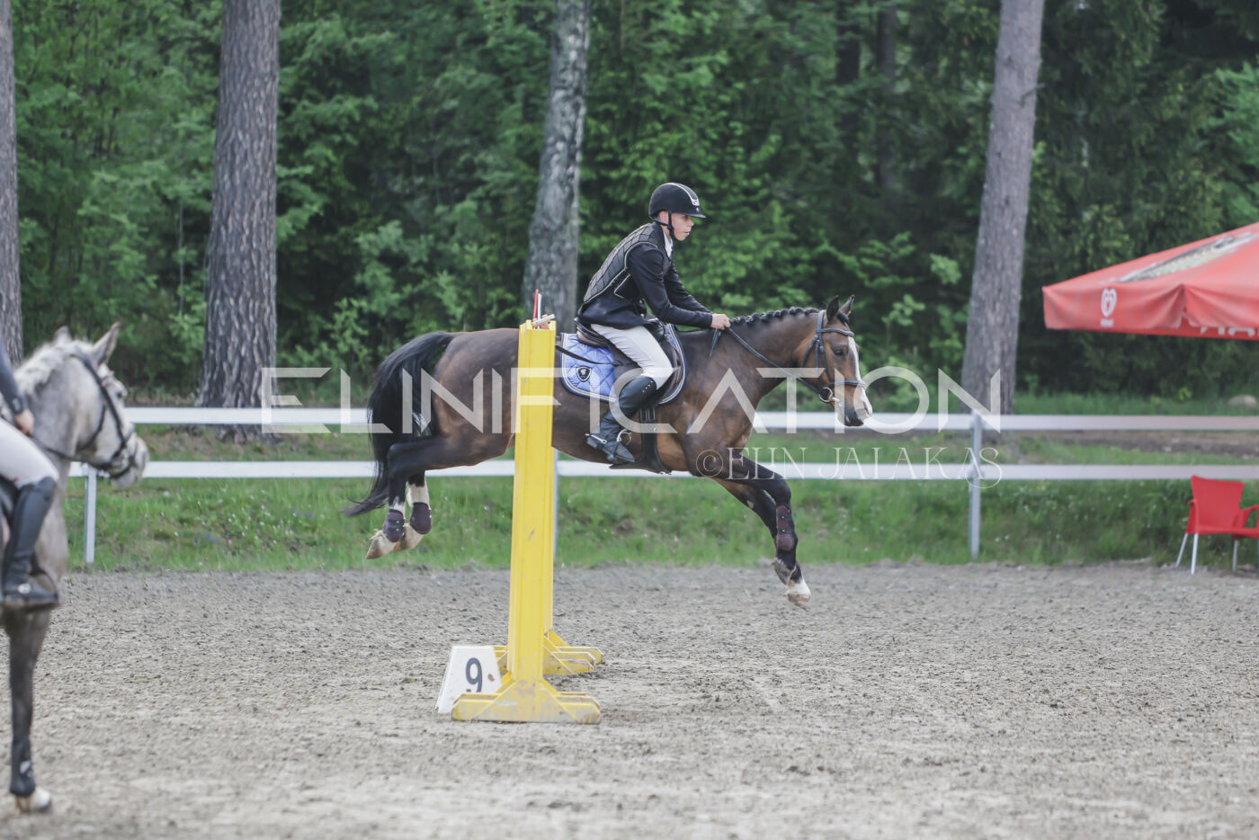 Parnu_CHI_3V_2026_CCN80_TS_209